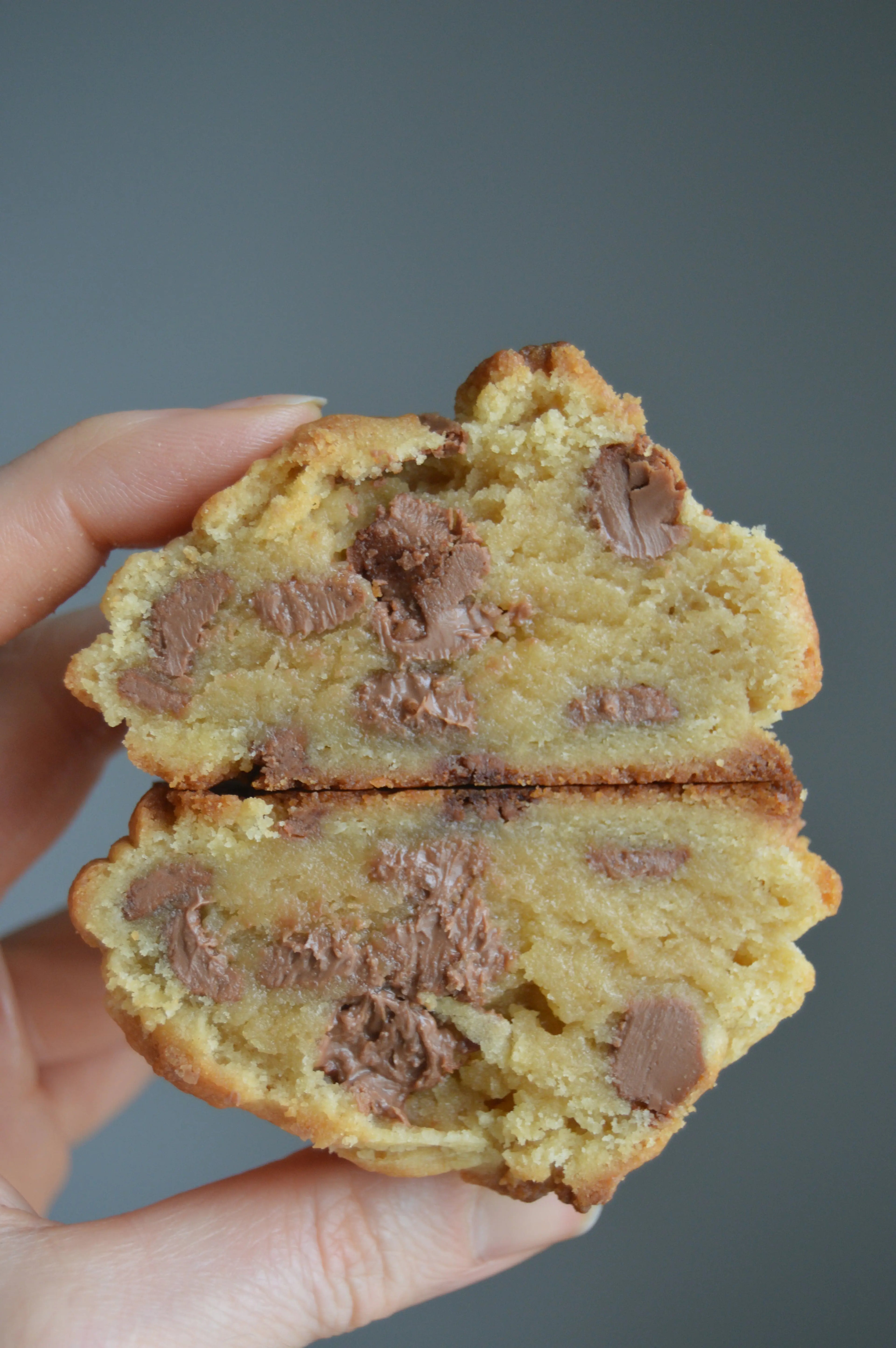 Choco Lait HEY COOKIES !